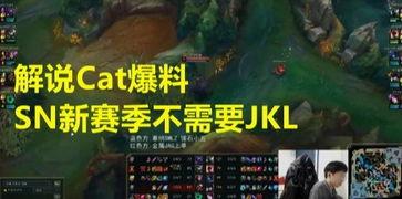 cat最新爆料,揭秘猫咪不为人知的秘密生活